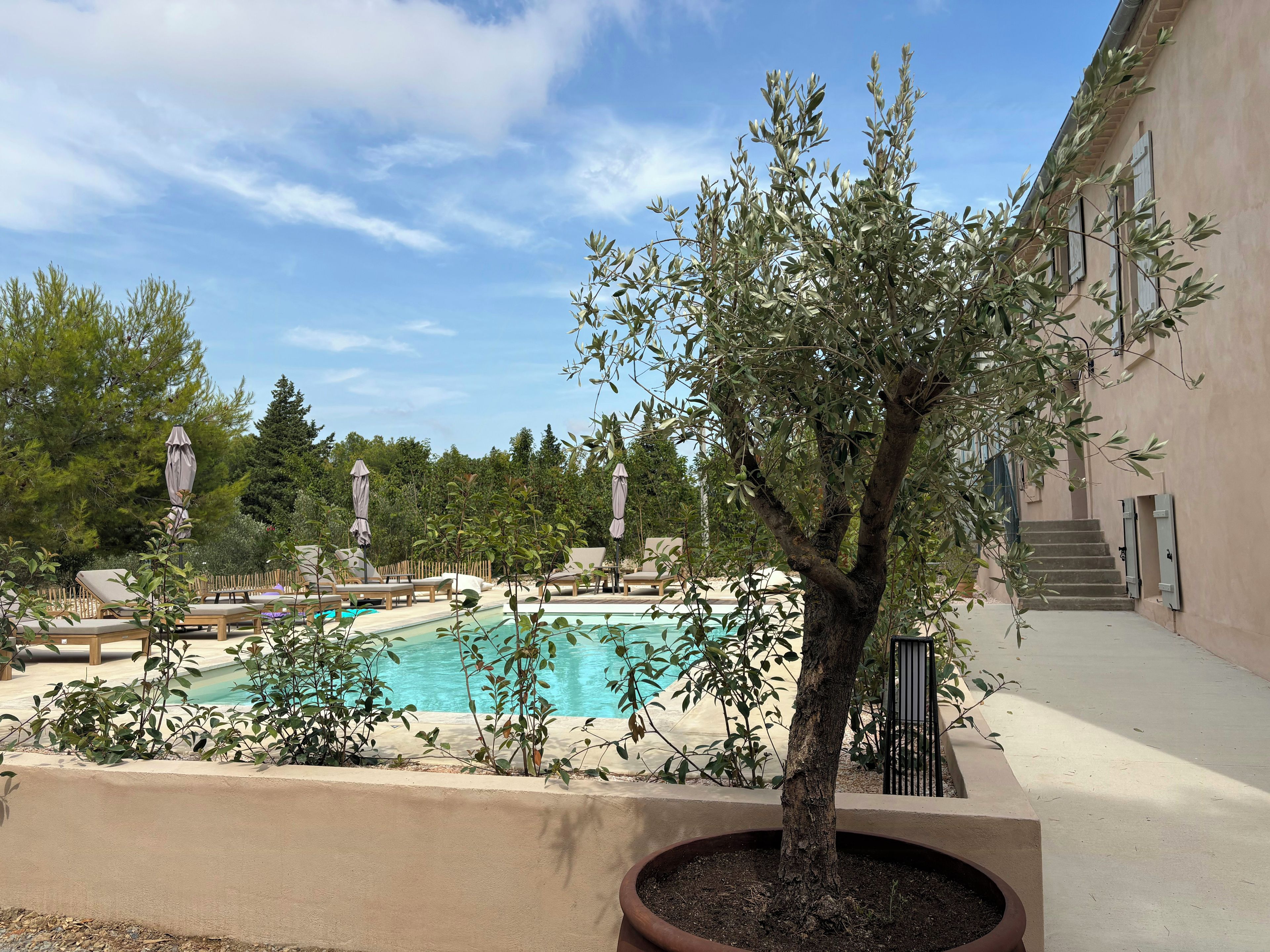 A pool area with lounge chairs and umbrellas, surrounded by trees and a building.