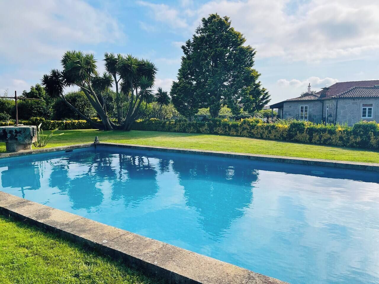 A rectangular swimming pool with a clear blue water surface, surrounded by a well-maintained grassy area and a variety of trees.