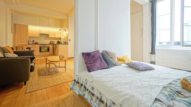 A modern apartment with a kitchen, a living area with a sofa and a coffee table, and a large bed with multiple pillows. - Charming Well Purified Studio Near Sacre Coeur (Paris)