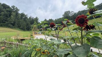 A garden with sunflowers, a wooden bridge, and a wooden fence.