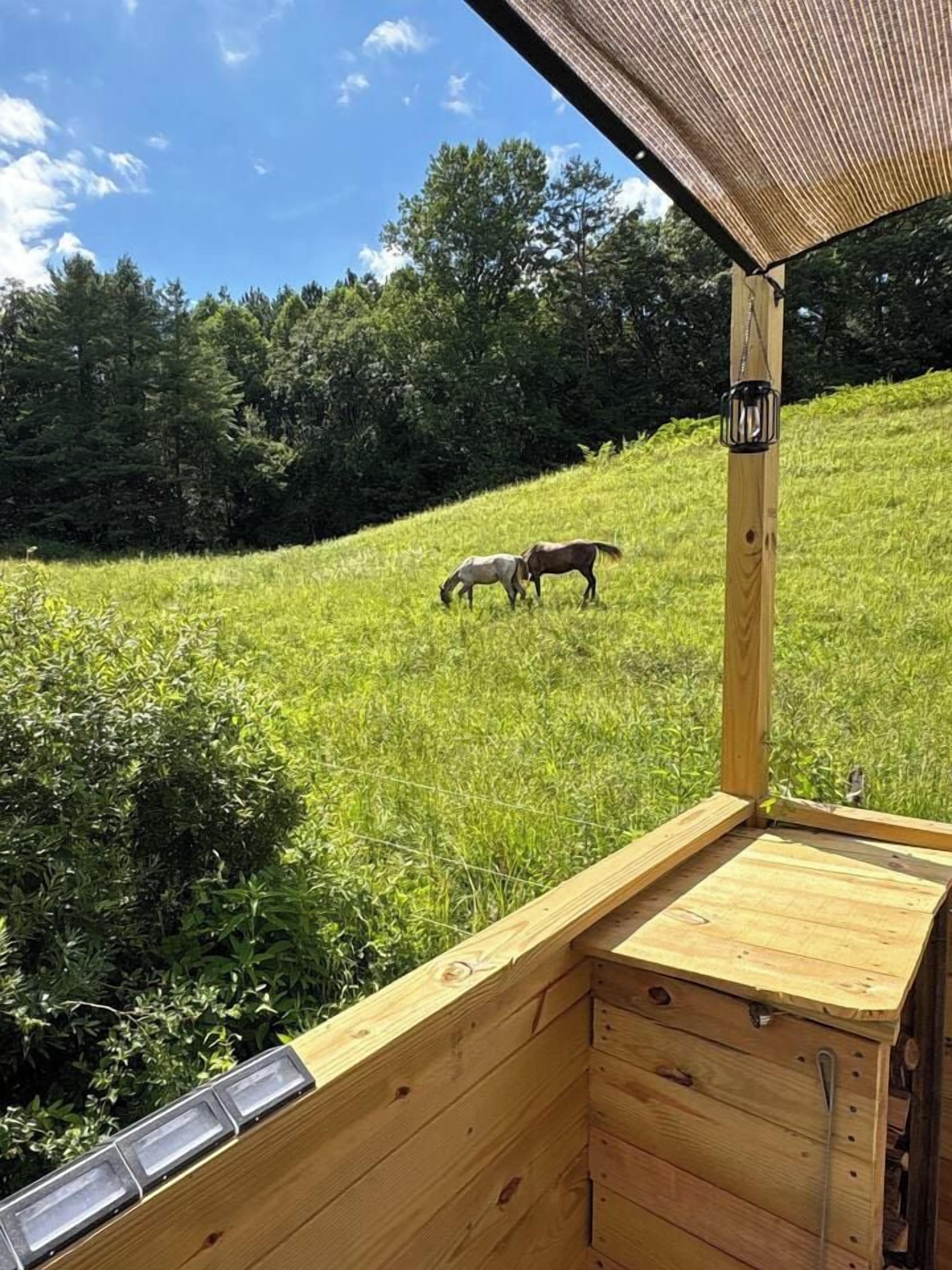 A wooden cabin with a view of a grassy field and trees.