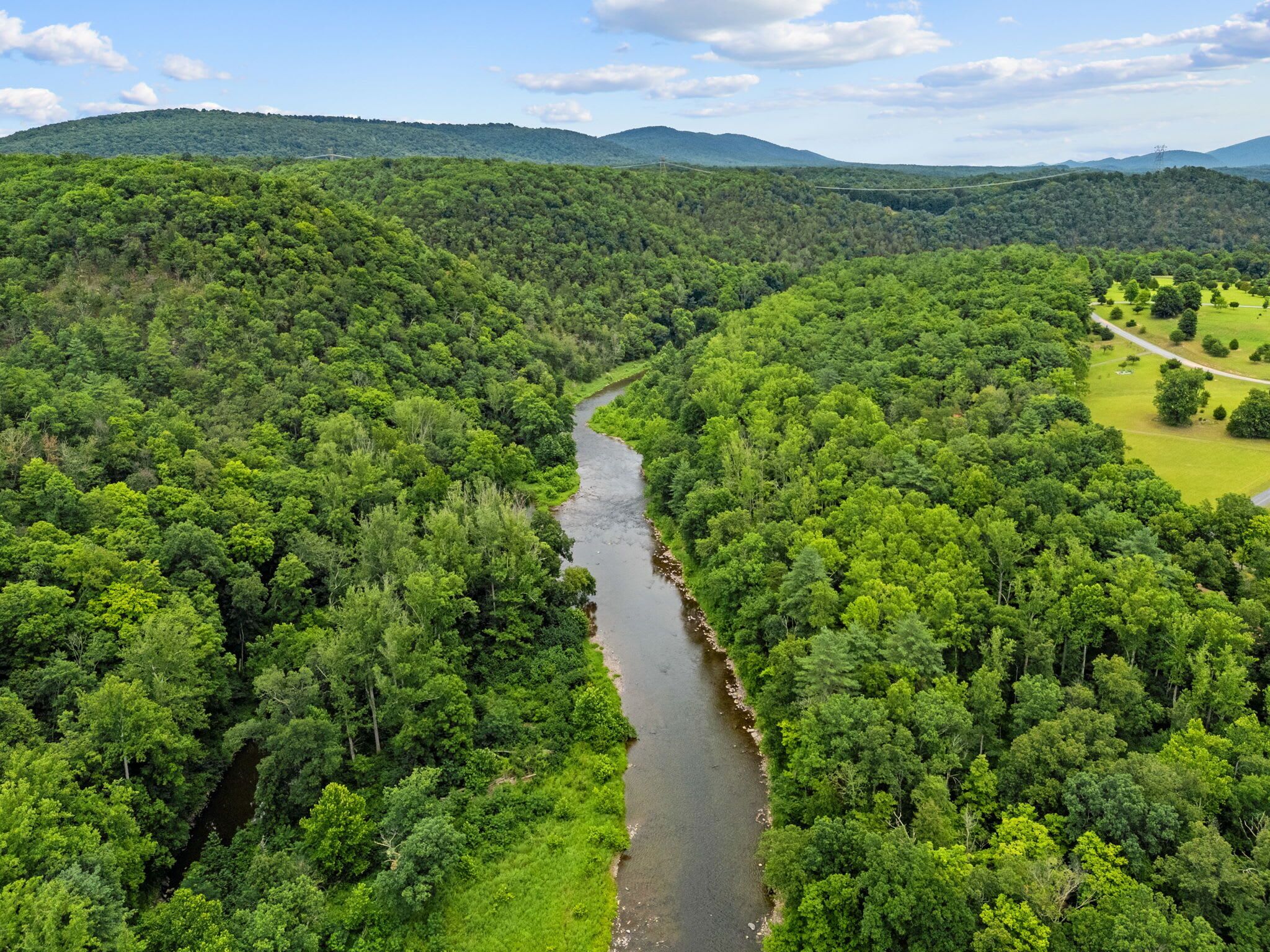 Ein Fluss schlängelt sich durch einen dichten Wald, über ihm ein klarer Himmel.