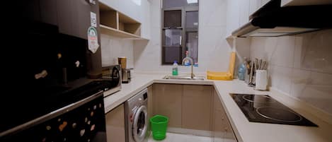 Une cuisine de taille réduite équipée d’un lave-linge, d’un évier et d’une cuisinière.