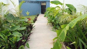 A pathway flanked by lush tropical plants leading to a building with a blue exterior and a black door. - Downtown Cancún Studio · WiFi & Smart TV (Cancún)