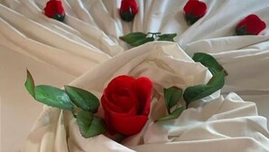 A bed with white bedding and red roses arranged in a fan shape. - Pousada Barra Suítes (Maraú)