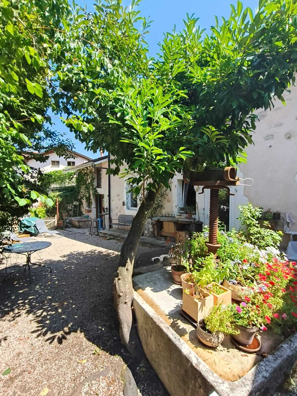 A garden with a tree, potted plants, and outdoor furniture.