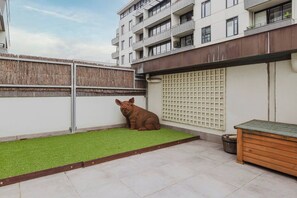 A building with a flat roof, a fenced area with artificial grass, and a large pig sculpture. - Bay Street Terrace Spacious Indoor Outdoor Design (Port Melbourne)