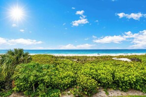 A beach with lush greenery in the foreground and a clear blue sky. - Sunset at Banyan Bay|Gulf-Front Condo on Longboat Key Beach+Pool+Tennis |Sleep 8 (Longboat Key)