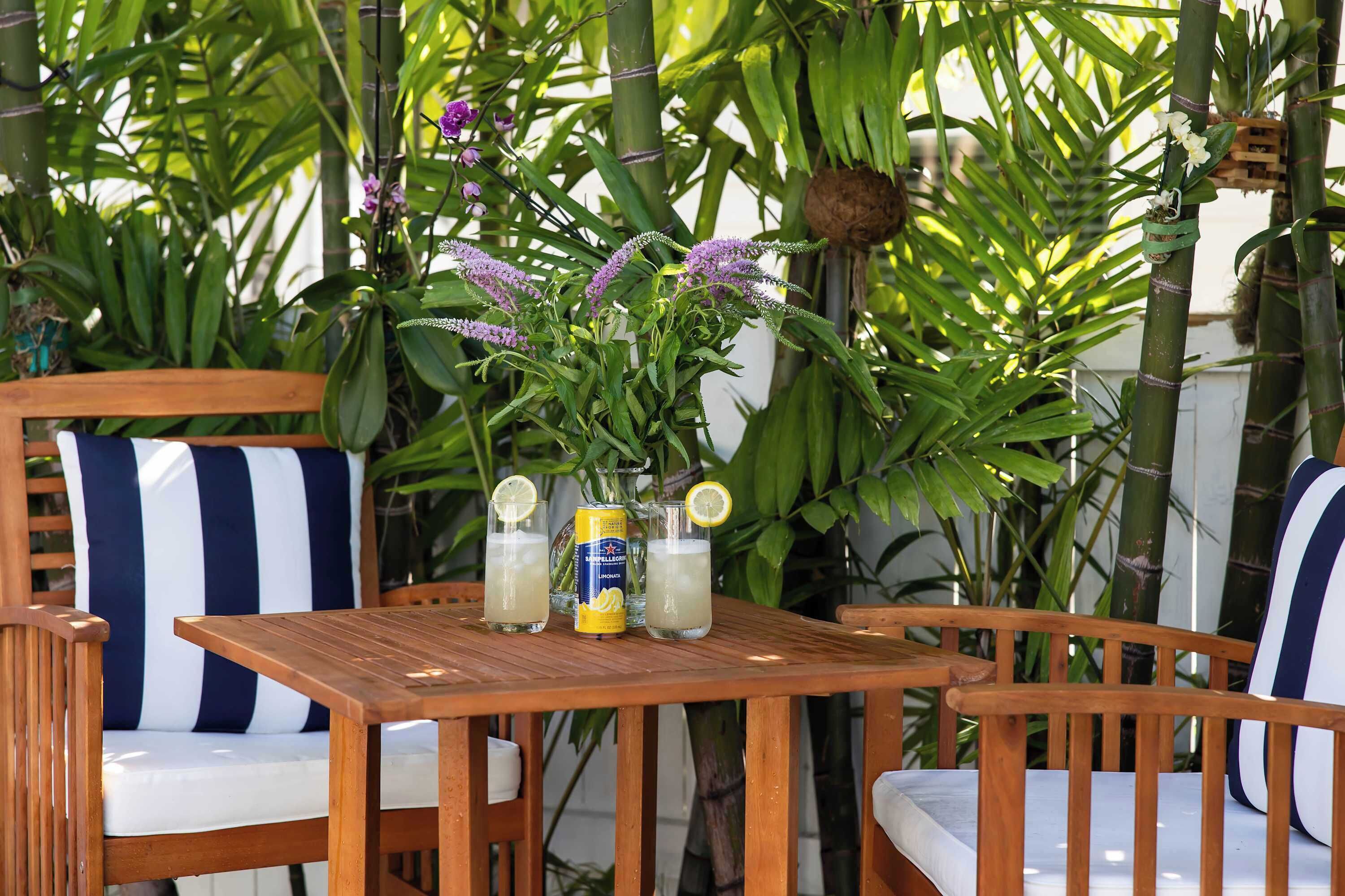 Une table en bois, deux chaises, une plante en pot et une canette de soda au goût de citron et de citron vert.