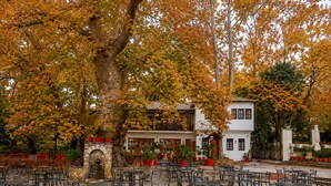Un espace extérieur aménagé avec des tables et des chaises, entouré d’arbres aux feuilles d’automne.