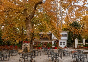 An outdoor seating area with tables and chairs, surrounded by trees with autumn foliage. - Mountain Breeze Sanctuary With View Near Volos (Volos)