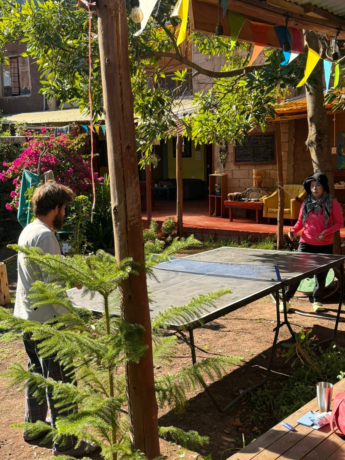 Un espace extérieur aménagé avec une table de ping-pong, des plantes en pot et une structure en bois.