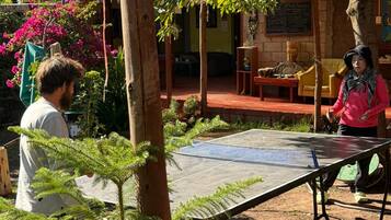 Un espace extérieur aménagé avec une table de ping-pong, des plantes en pot et une structure en bois.