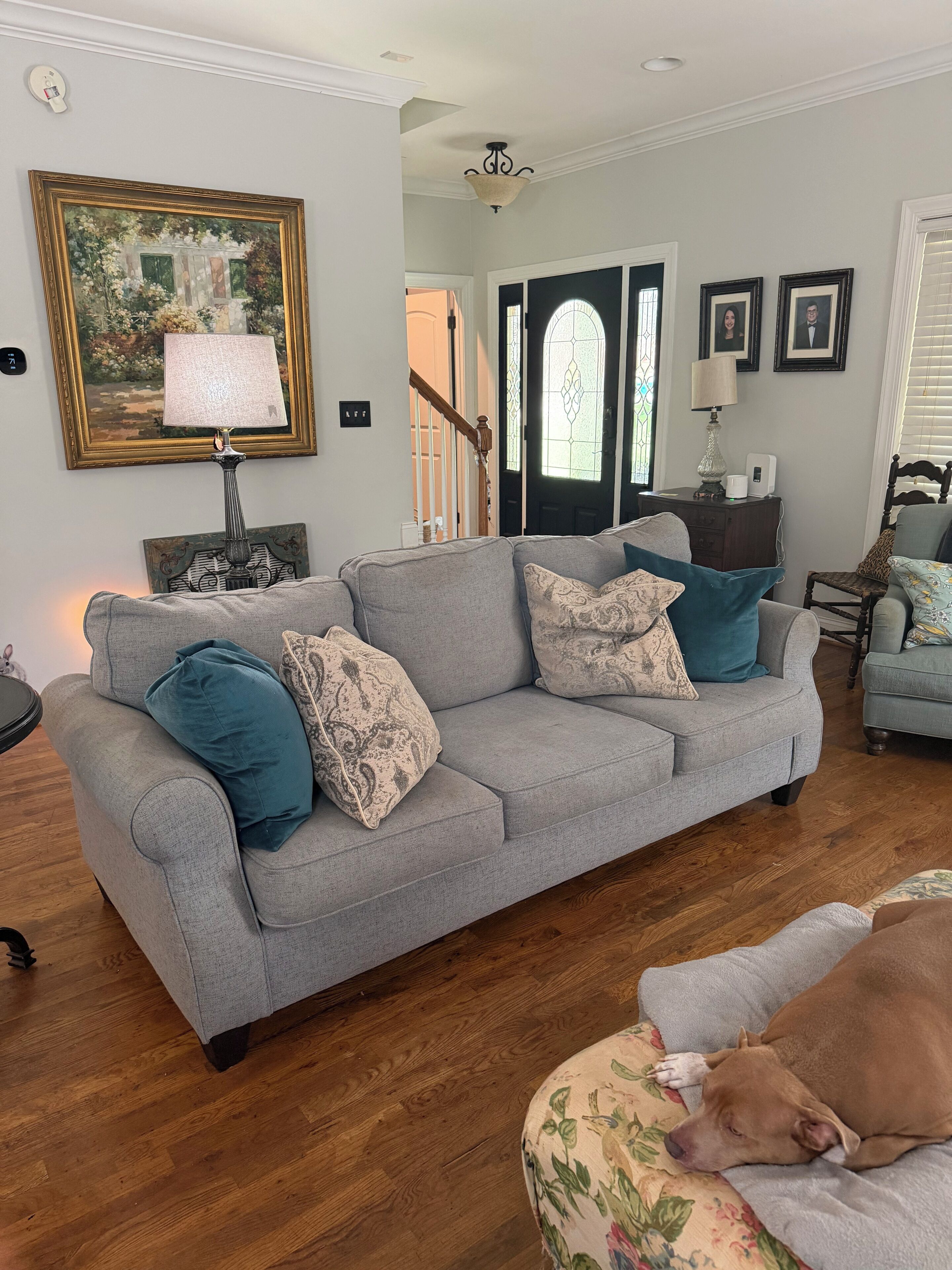 TV, fireplace, DVD player, books