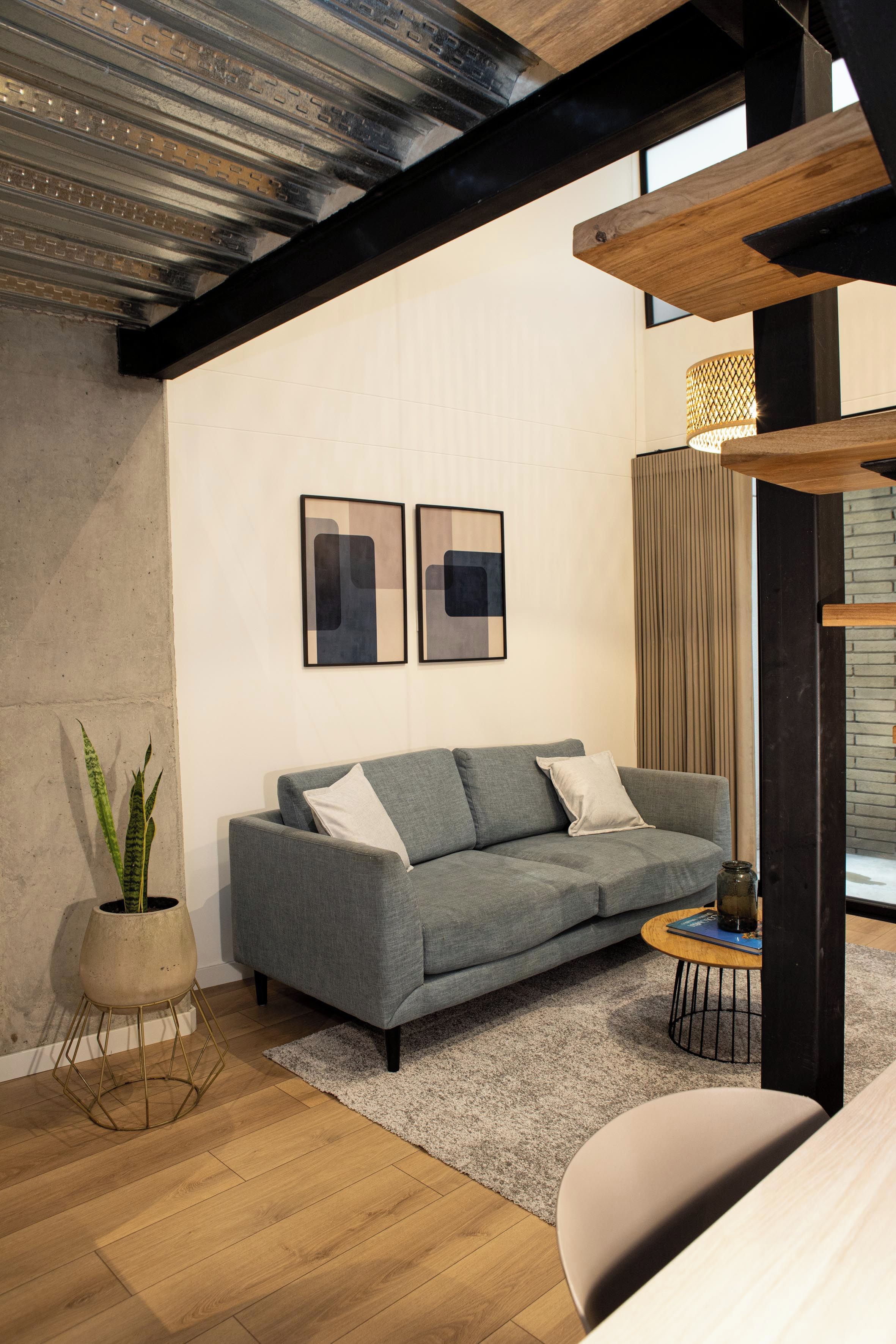 A modern living room with a grey sofa, a potted plant, and a wooden coffee table.