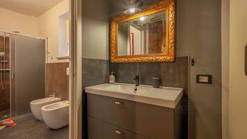 Shower, hair dryer, bidet, towels