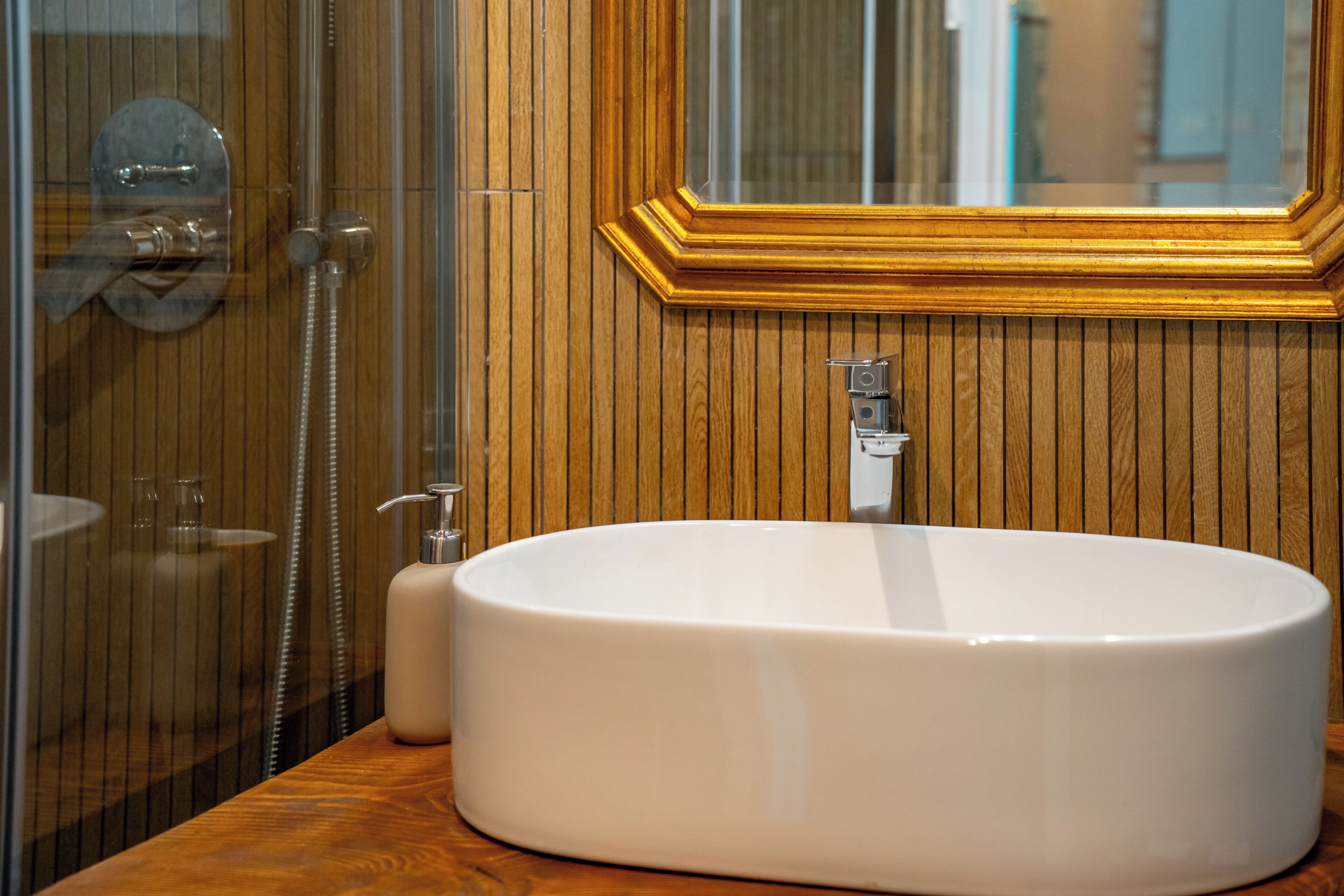 Shower, hair dryer, bidet