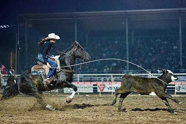 Un evento de rodeo con un vaquero a caballo tratando de atrapar un ternero con lazo.
