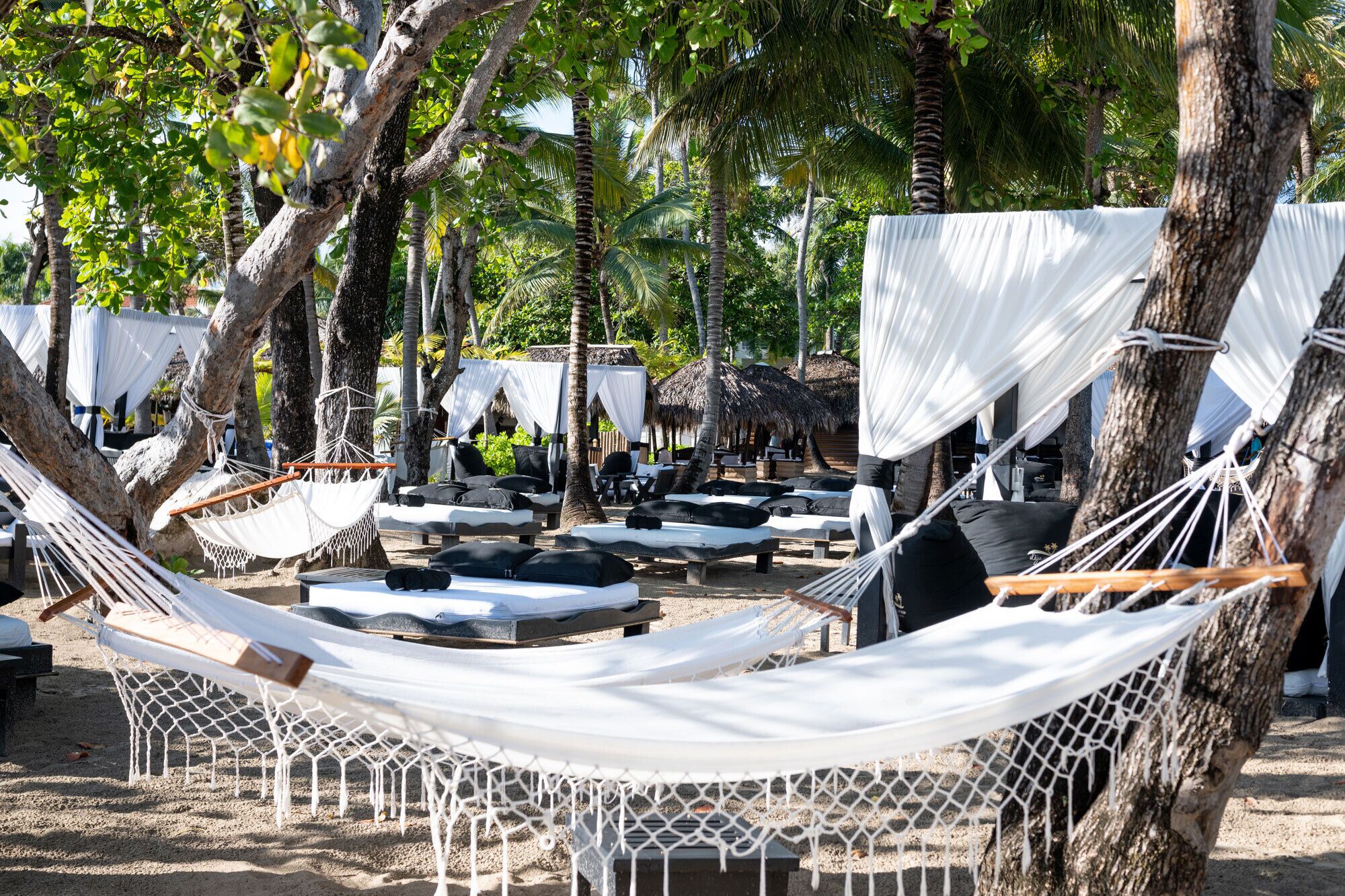 A beach setting with hammocks, lounge chairs, and thatched-roof structures.