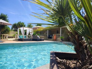A swimming pool with lounge chairs and umbrellas, surrounded by palm trees and a building with a visible sign.