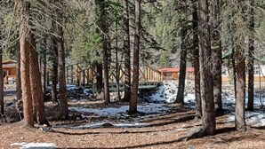 A forested area with a wooden cabin structure, surrounded by tall trees and a snow-covered ground. - Sequoia Cabin | Waterfront Escape with Private Hot (South Fork)