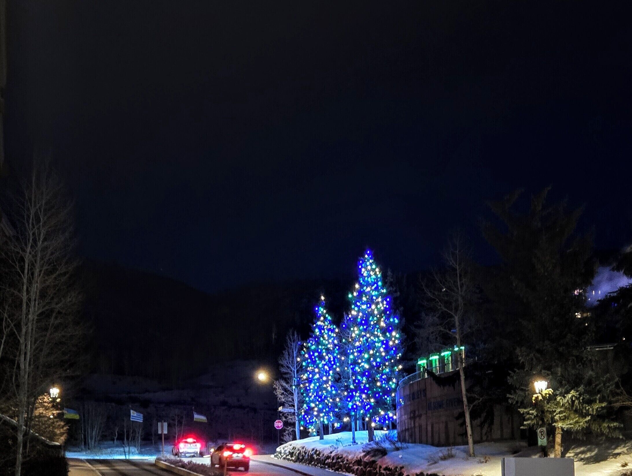 A building with a large illuminated Christmas tree.