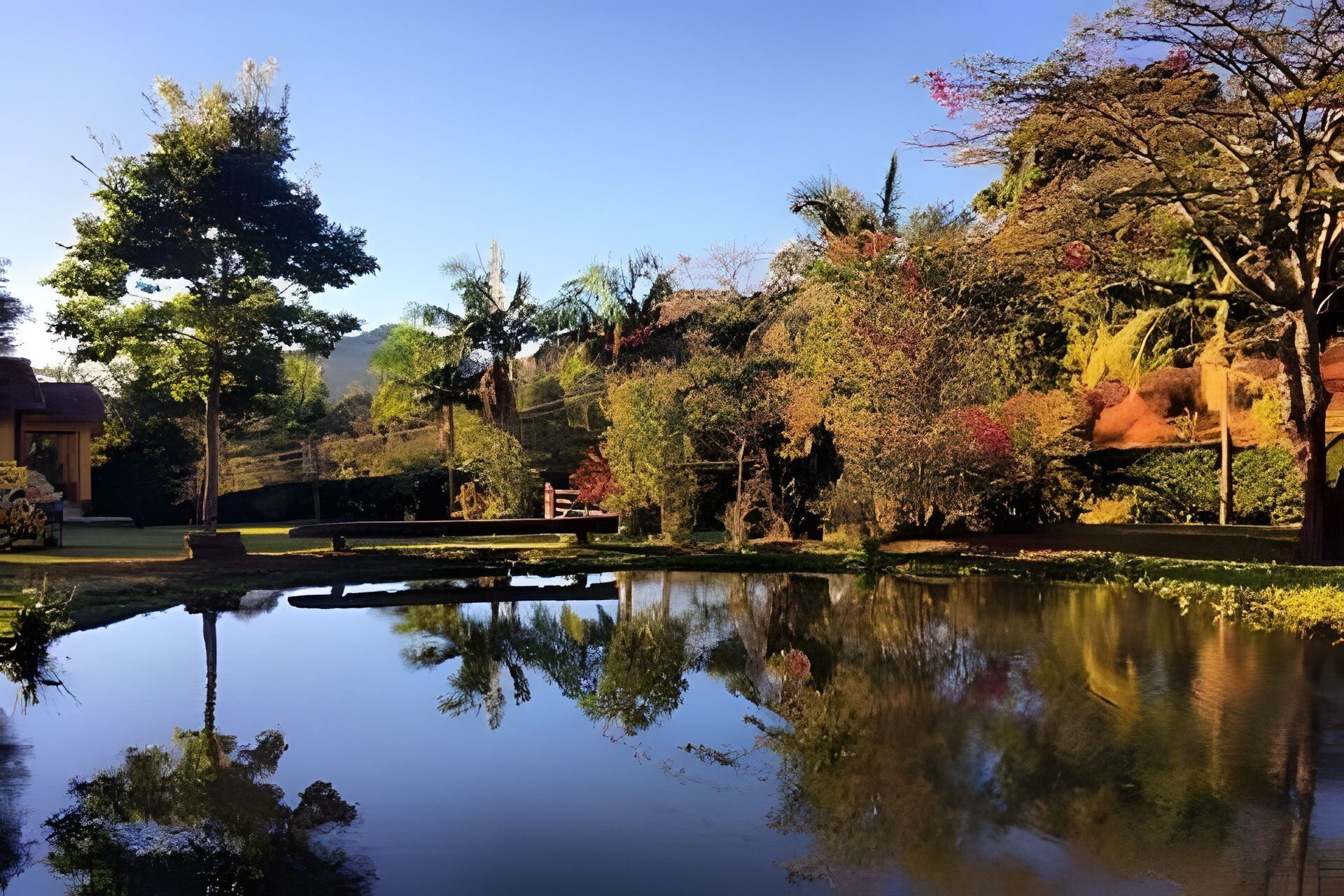 Un jardín tranquilo con un estanque que refleja árboles y un edificio.