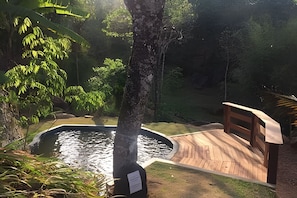 A wooden deck with a pond, surrounded by lush greenery and trees. - Vida na Roça (São Bento do Sapucaí)