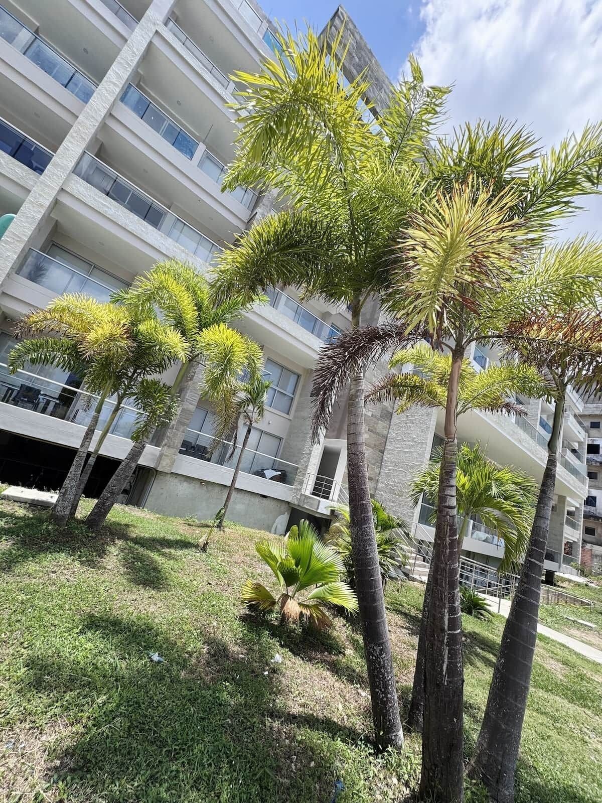 A modern building with multiple balconies and a grassy area with palm trees.