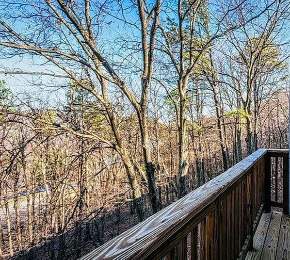 A wooden deck overlooking a forested area.