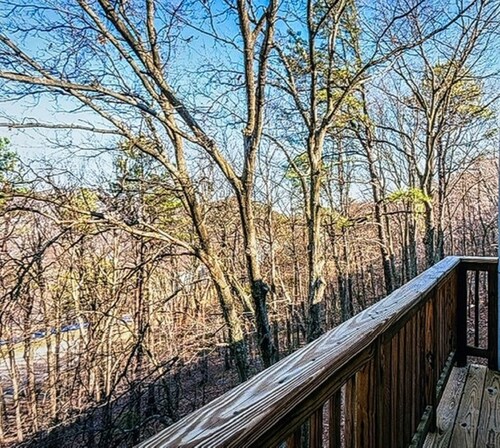 Family vacation at Massanutten Woodstone Virginia for Thanksgiving