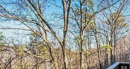 Family vacation at Massanutten Woodstone Virginia for Thanksgiving