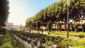 Un jardin aménagé avec des allées, des bancs et une structure en forme de pergola.