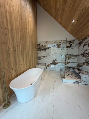 Regadera, secadora de cabello, bidet, toallas 