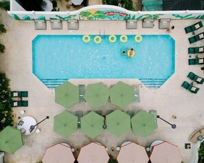 An aerial view of a swimming pool with lounge chairs and umbrellas. - Accessible Double King w/ Balcony + Breakfast (Miami)