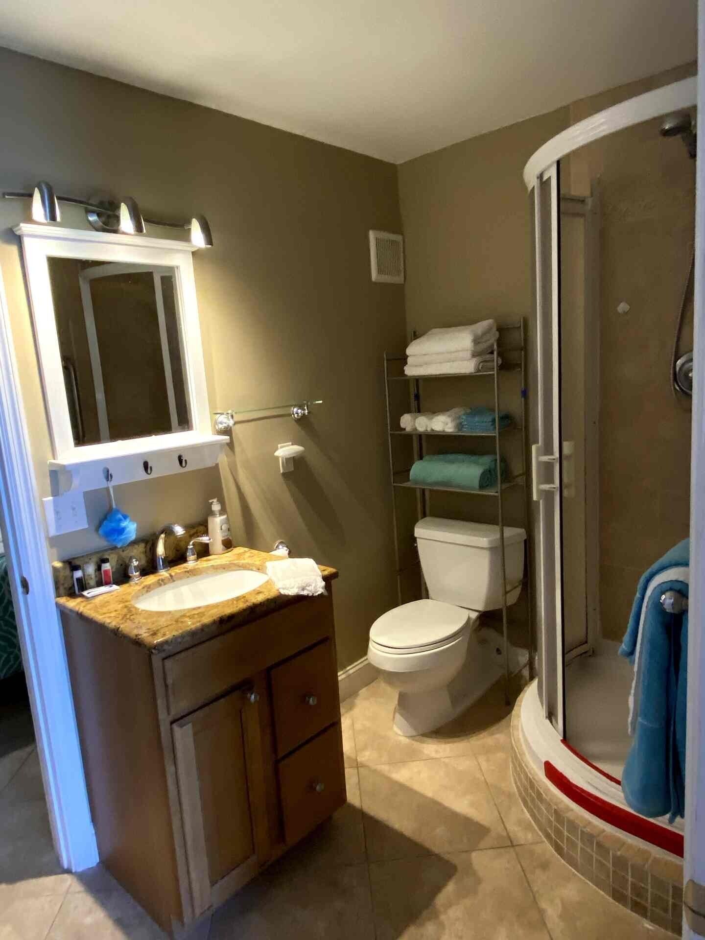A bathroom with a sink, mirror, toilet, and shower area.