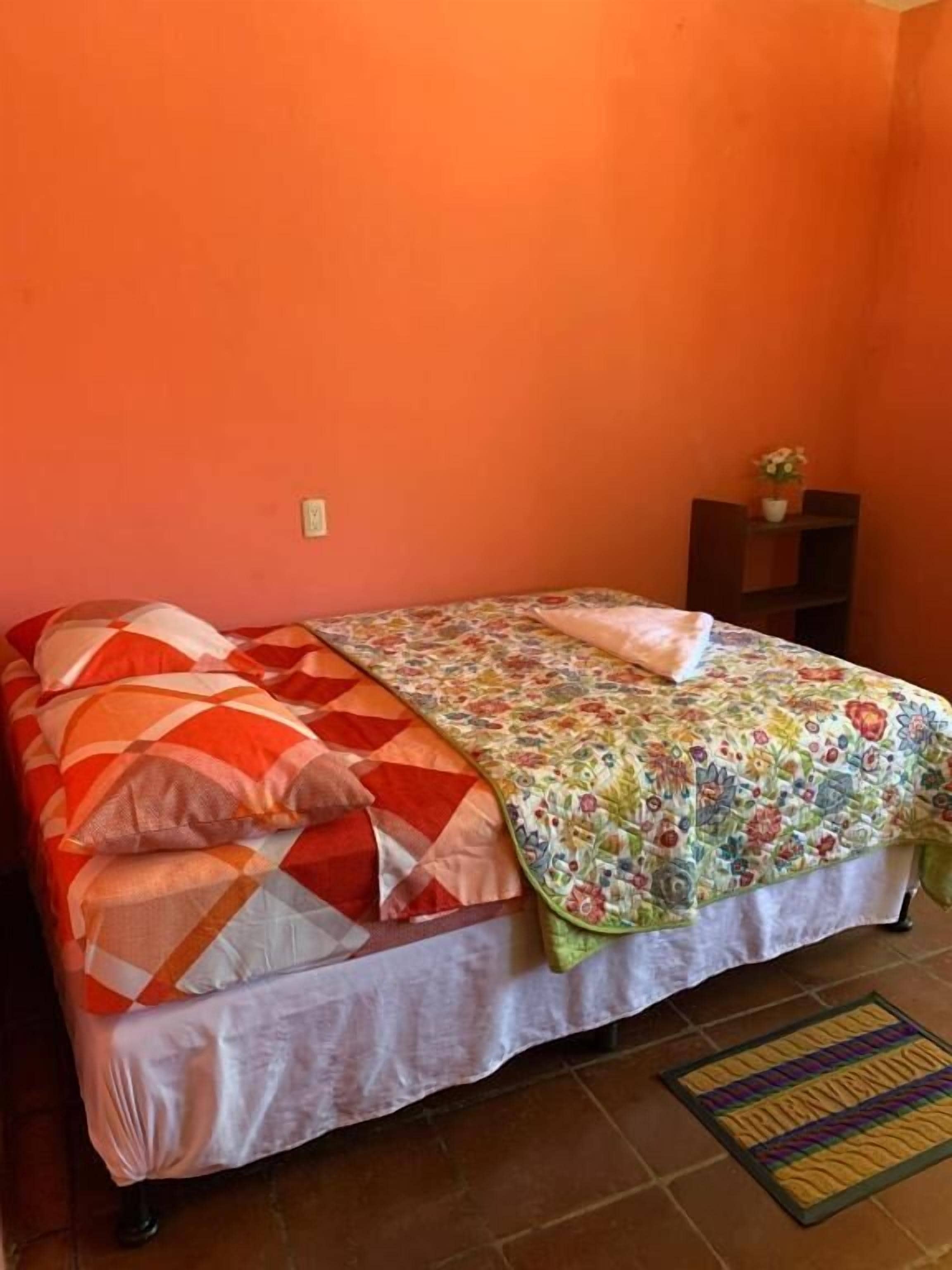 A bed with a patterned bedspread and pillows, a small bedside table with a plant, and a rug on the floor.