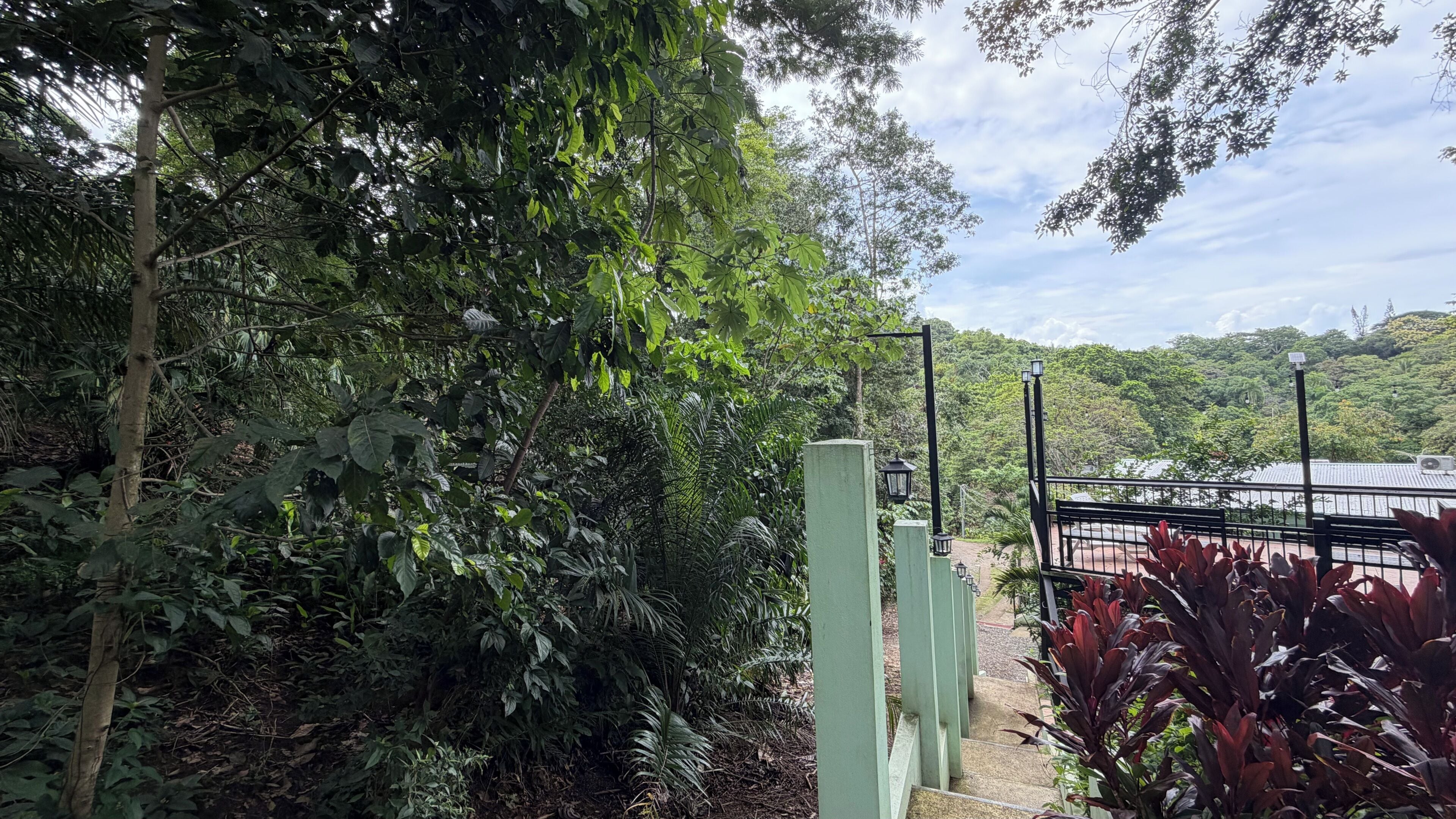 A pathway leading through dense foliage with a metal gate and a street lamp.