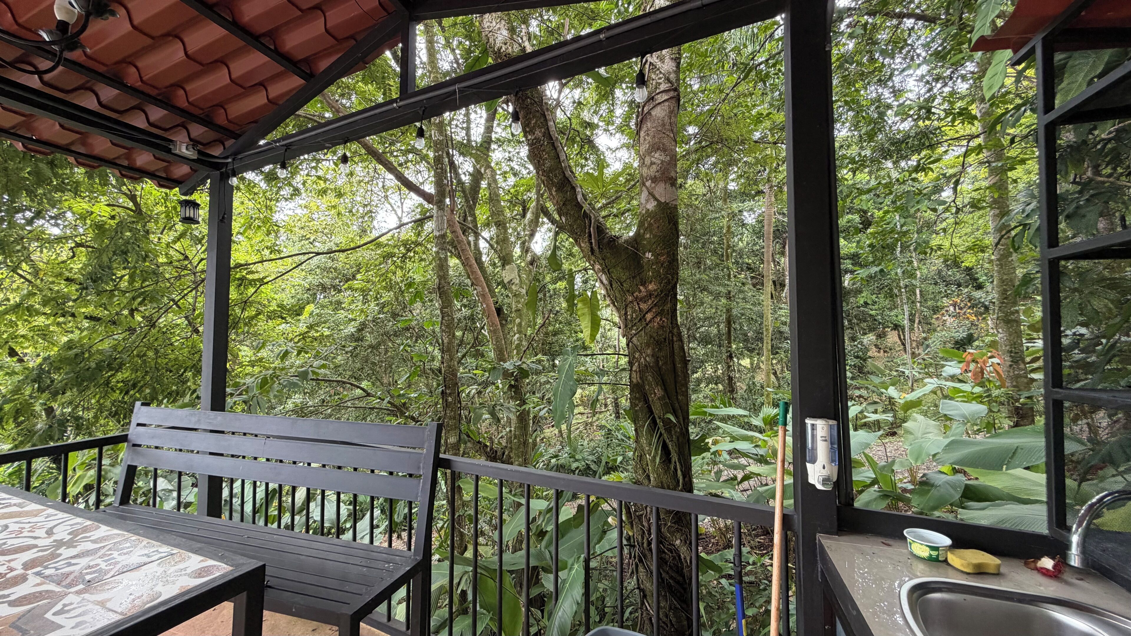 Un espace extérieur abrité, doté d’un banc et d’une table, et entouré d’une végétation luxuriante et d’arbres.
