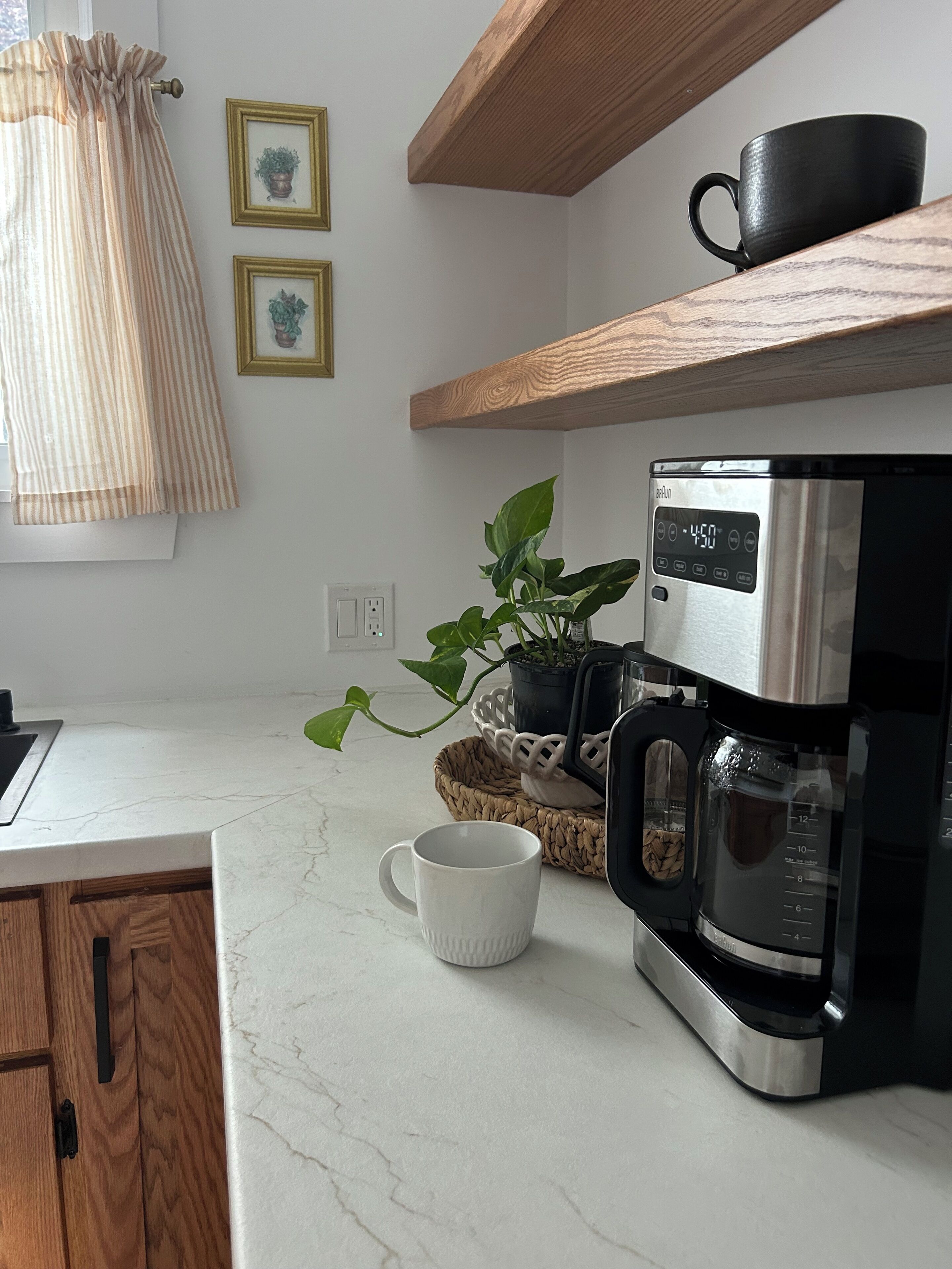 A kitchen with a coffee maker, a white mug, and a potted plant on the counter.