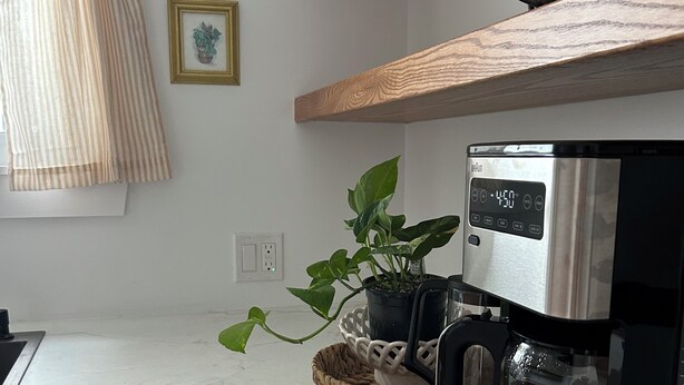 A kitchen with a coffee maker, a white mug, and a potted plant on the counter.