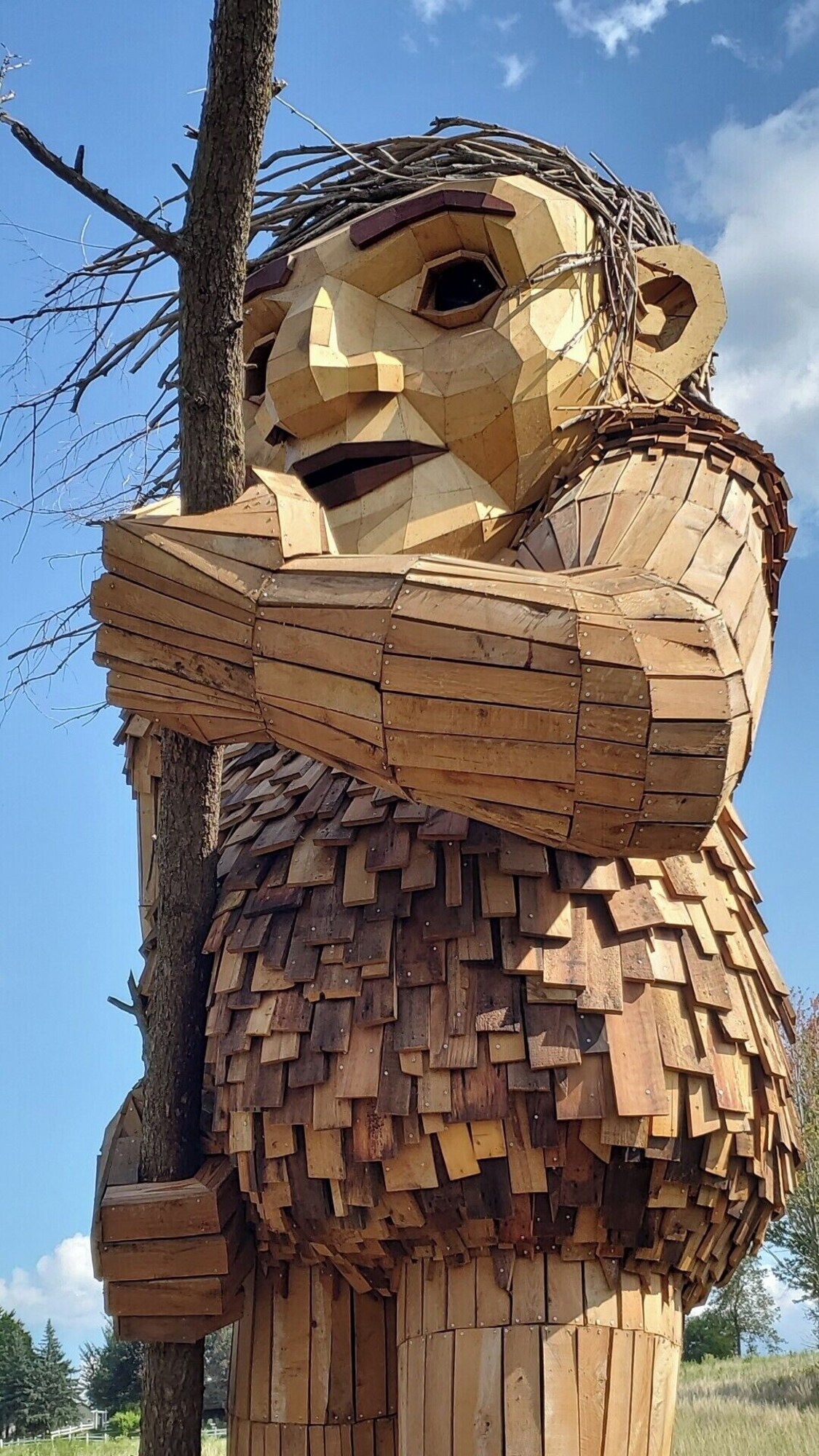 Host profile image