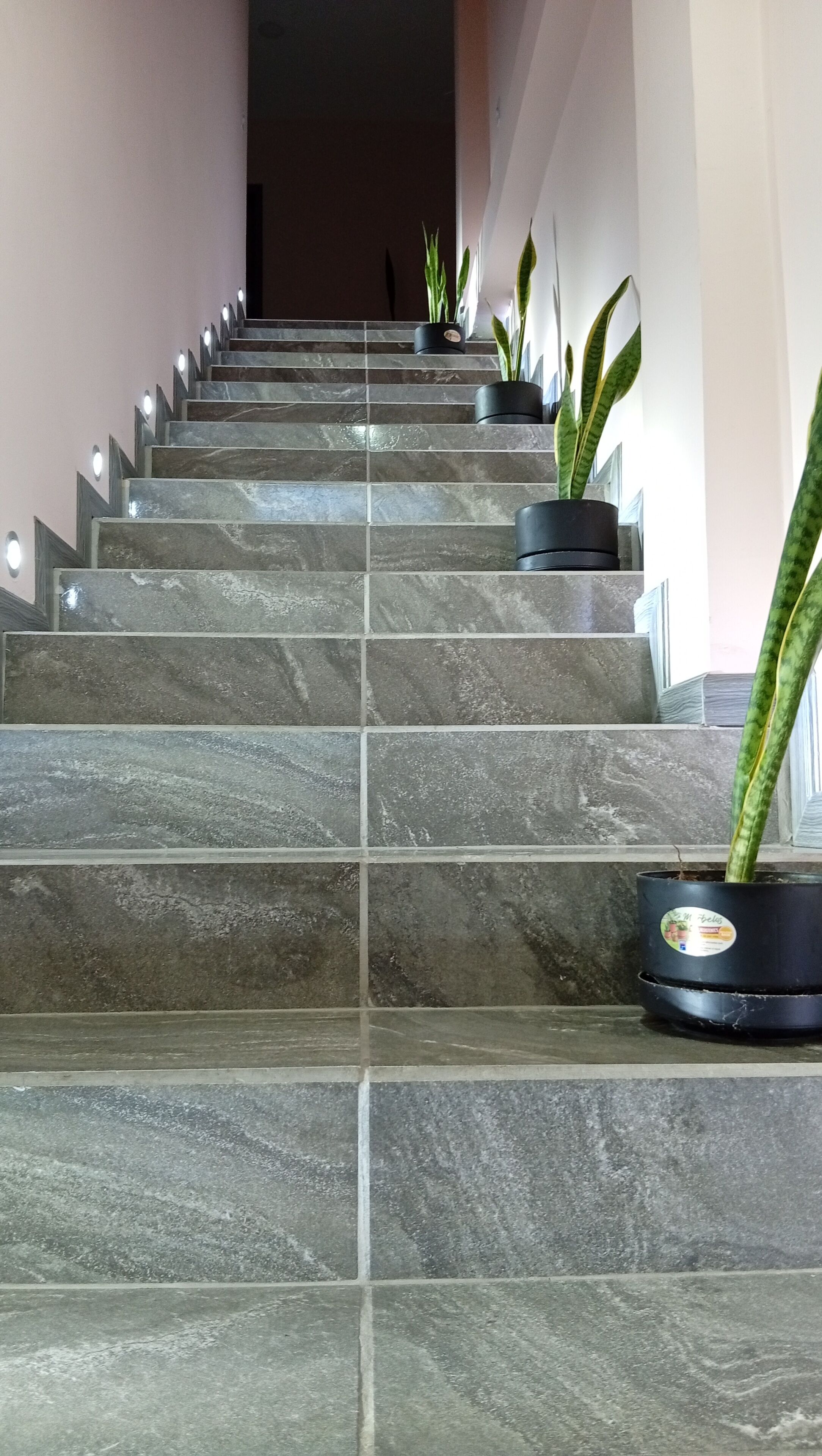 Uma escadaria com vasos de plantas em intervalos.