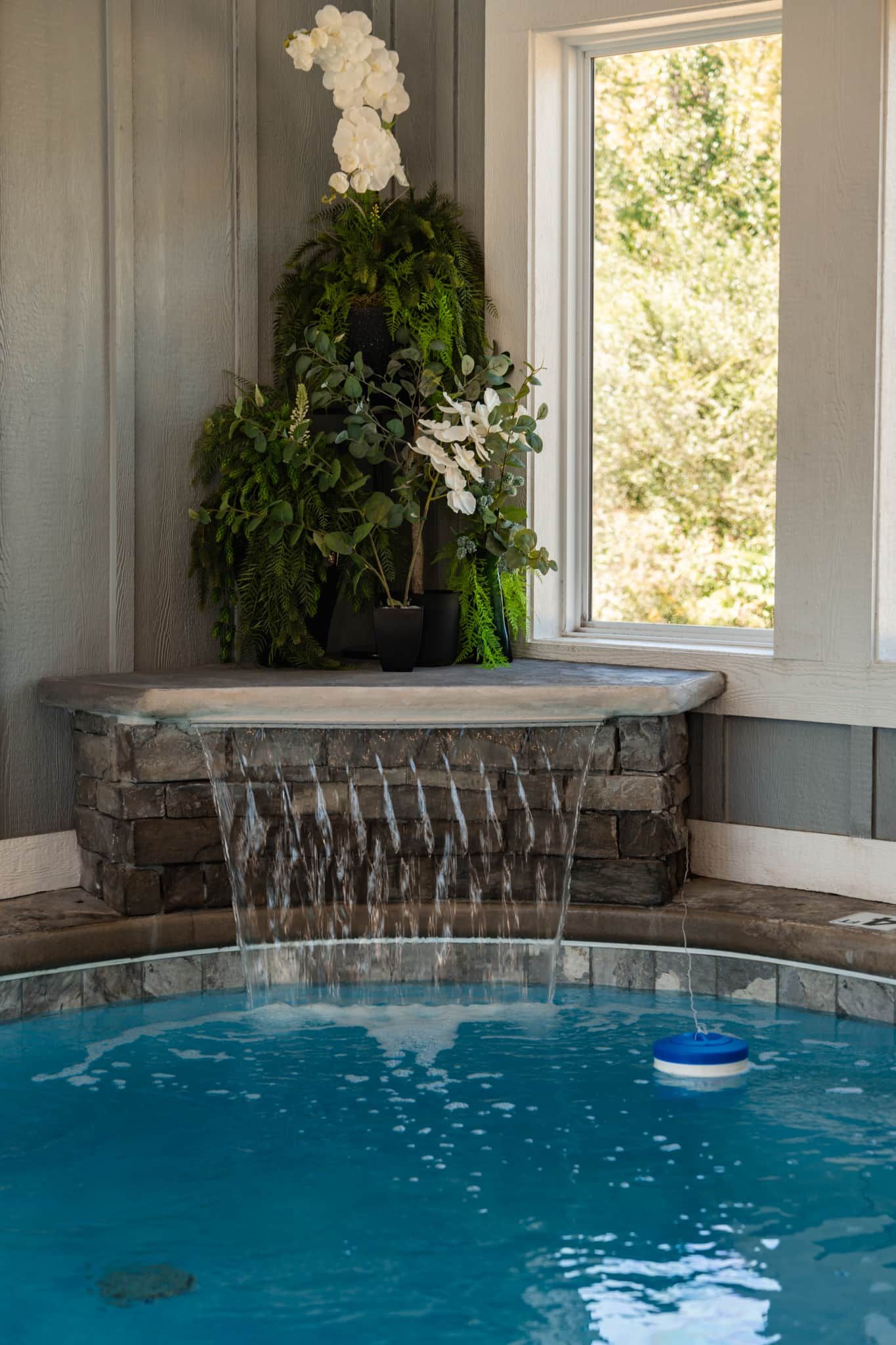 Ein Pool mit Wasserfall und einer Pflanze in einem Topf auf einem Sims.