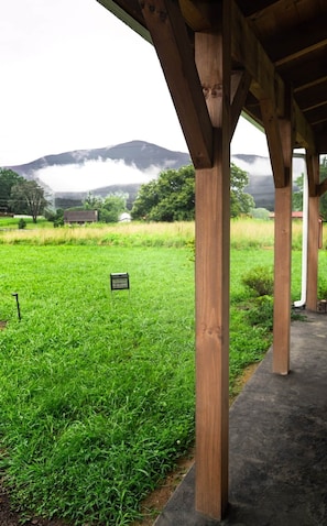 Uma área externa coberta com um gramado, vigas de madeira e um sinalizador.