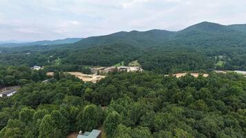 A forested area with a building and a road.