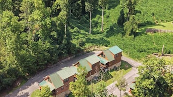 A cabin with a green roof, surrounded by dense forest.