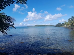 A tropical beach with clear water, palm trees, and a distant island.