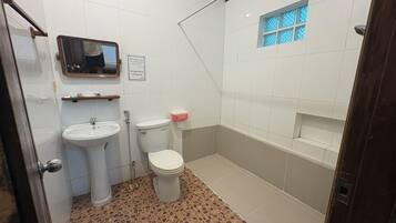 Une salle de bain avec un lavabo, des toilettes et une douche.