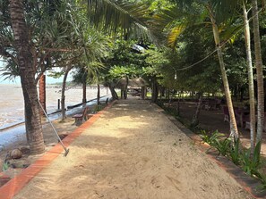 Un sendero arenoso bordeado de palmeras y bancos, que conduce a una playa con vista al agua.